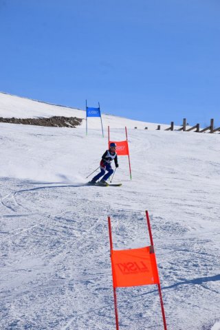 Чемпионат Узбекистана 2024